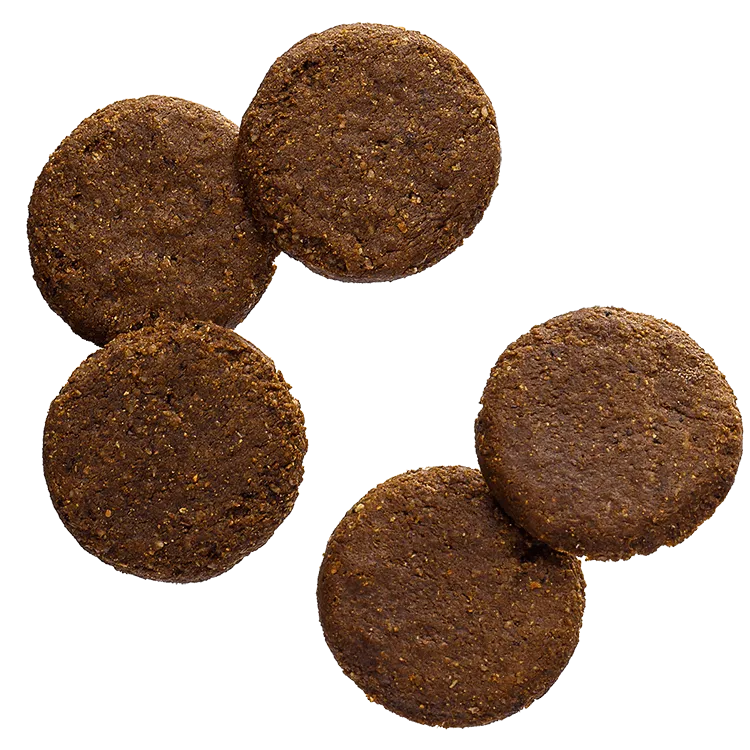 BASE Cookies® Cocoa Flavor (2 pieces)